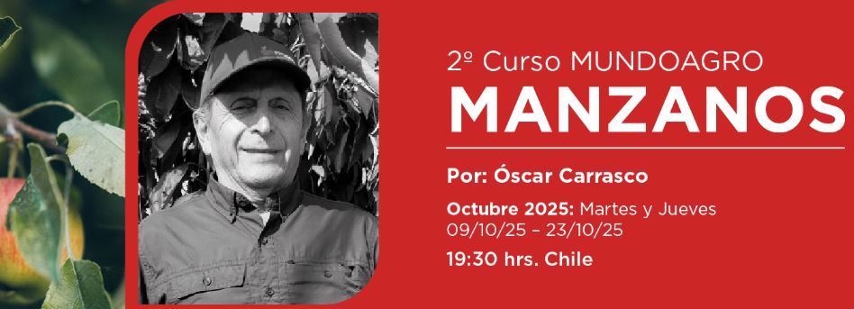 CURSO MANZANO